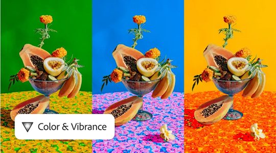 色彩与明度功能